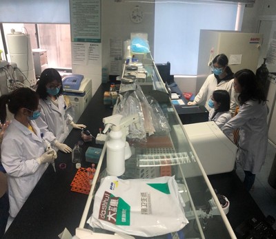 江蘇大學(xué)生命科學(xué)學(xué)院再生醫(yī)學(xué)研究成果獲國際認(rèn)可 多能性干細(xì)胞移植為疾病治療開辟新篇章